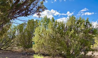 29 Co Rd 3199, Vernon, AZ 85940