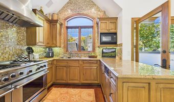 914 E Cooper Ave, Aspen, CO 81611