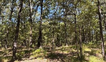 Lot 19 Saddle Creek Ct, Alba, TX 75410