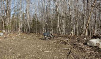 Burton Hill Road, Barton, VT 05822