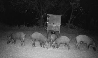 2011 County Road 1590, Alvord, TX 76225