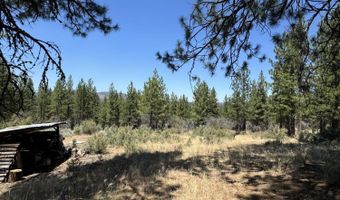 49677 S Packsaddle Cir, Beatty, OR 97621