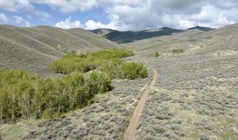 Lees Gulch Rd, Bellevue, ID 83313