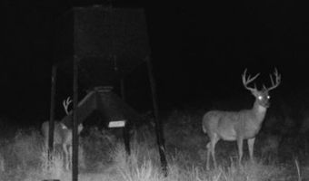 1299 E US HWY 160, Argonia, KS 67004