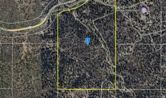 Highway 38, Angelus Oaks, CA 92305