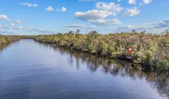 4250 NW 81ST Ln, Bell, FL 32619