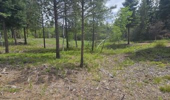 23 Sawtooth Loop, Cascade, ID 83611