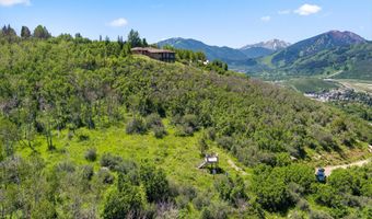 Trentaz Drive, Aspen, CO 81611