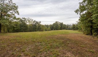 2421 Morrison Loop, Anderson, MO 64831