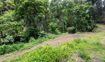 54-1749 PAIPO KANE Rd, Kapaau, HI 96755