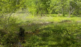 Steve Brown Road, Bean Station, TN 37708