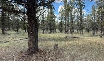 227 County Rd 243 A Hilltop, Alturas, CA 96101