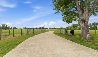 776 Sand Pit Rd, Arnaudville, LA 70512