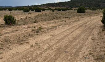 8206 TBD N8206, Concho, AZ 85924