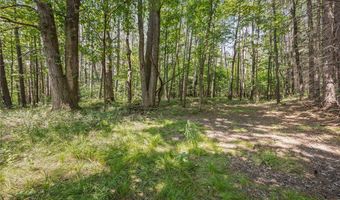 Middle Road, Angelica, NY 14709