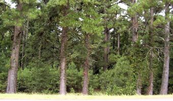 120 Little River 180, Ashdown, AR 71822