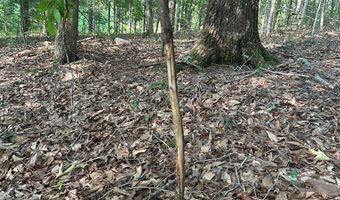 Lot 2B Gidsville Road, Amherst, VA 24521