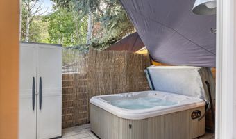 55 Bear Trl, Aspen, CO 81611