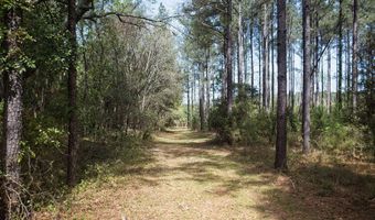 1342 Thomas Hamilton Rd, Brunson, SC 29911
