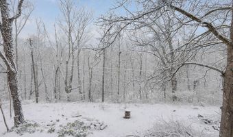41 Briarwood Dr, Athens, OH 45701