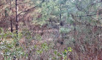 S Waller Rd, Bald Knob, AR 72010