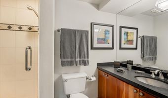 650 S Monarch St 9, Aspen, CO 81611