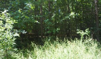 000 Stokes Rd, Bald Knob, AR 72010