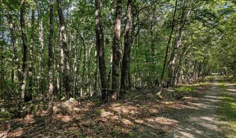Chamberlain Road lot 11, Alton, NH 03809