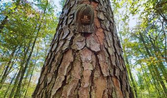 0 Hwy 8, Aberdeen, MS 39730