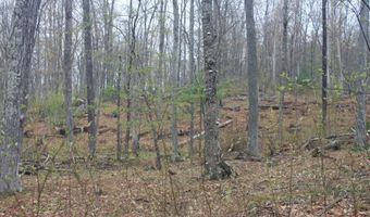 Nepaug Road, Burlington, CT 06013