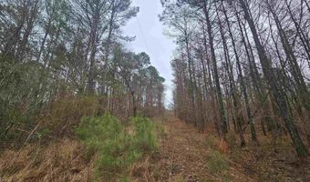 13 Toney Drive, Altoona, AL 35952