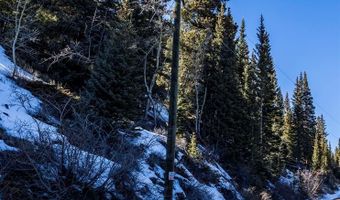 944 Roberts Rd, Alma, CO 80420