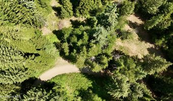 1710 Tower Mountain Rd, Blanchard, ID 83804