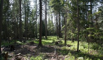 NKA River Lake Dr, Clark Fork, ID 83811
