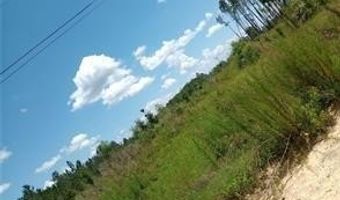 150 Kyle Stains Rd, Baxley, GA 31513