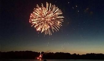 2596 E Fox Rd, Alcona, MI 48742
