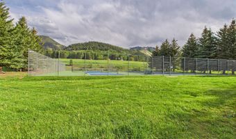 593 Meadowood Dr, Aspen, CO 81611