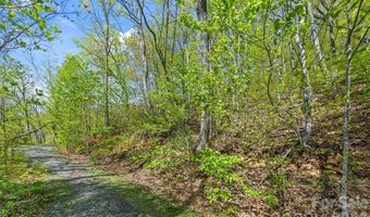 21 Reillys Bluff Rd 1, Barnardsville, NC 28709