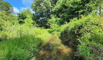 3350 SE Mount Pleasant Ln, Bogue Chitto, MS 39629