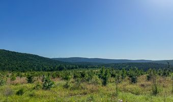 D4289 Road, Antlers, OK 74536