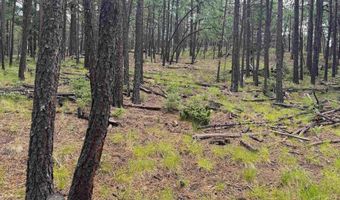 19 Black Lake Ter, Angel Fire, NM 87710