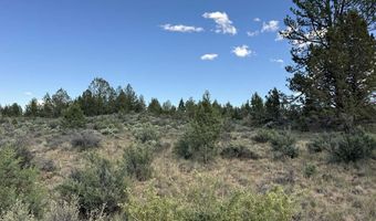 HWY 140 300, Beatty, OR 97621
