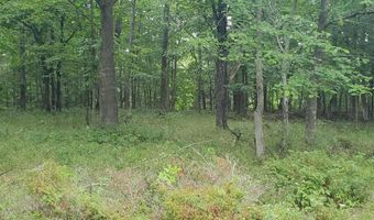 V/L 20AC Monaghan Point Road, Alpena, MI 49707
