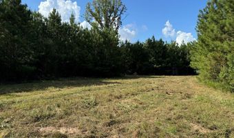 SW Auburn Drive, Bogue Chitto, MS 39629