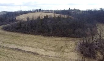 20 Ac. Valley Rd, Argyle, WI 53504