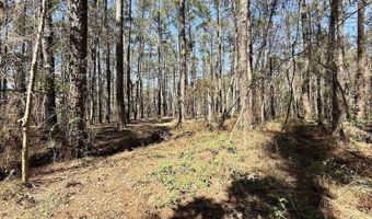 0 Lot 1 Creek Place Rd, Arapahoe, NC 28510