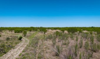 FM 735, Alice, TX 78332