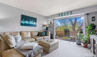3350 N Carriageway Dr 217, Arlington Heights, IL 60004