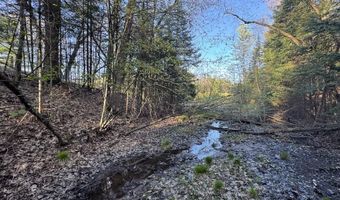 V/L Wildwood Road lot 1, Alger, MI 48610