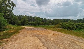 Copeland Ridge Road, Arkadelphia, AR 71923